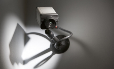 Gallery: Aliquam erat