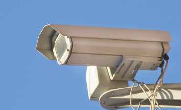 Gallery: Fusce posuere